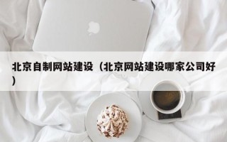 永安北京自制网站建设（北京网站建设哪家公司好）
